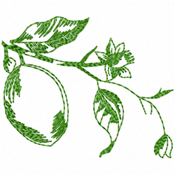 Fruits Embroidery Design 4 Fruits Embroidery Design 4